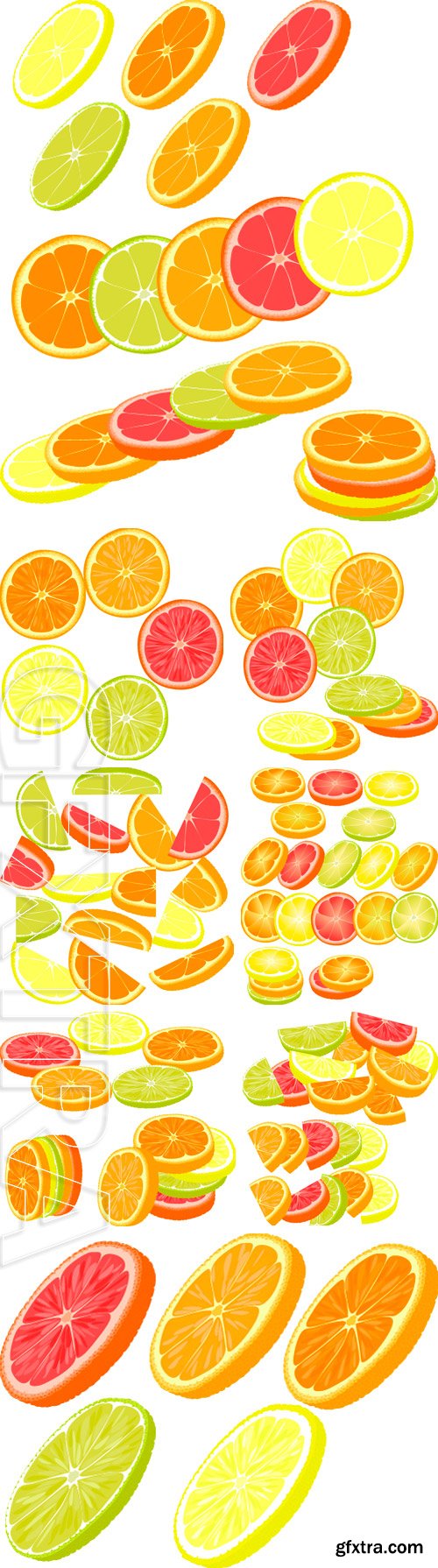 Stock Vectors - Slices of different citrus fruits. Orange, grapefruit, lemon, lime