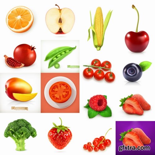 Collection of vector picture different food fruit vegetables 25 EPS