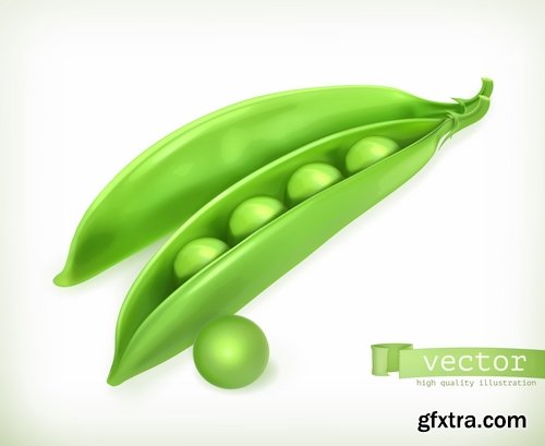 Collection of vector picture different food fruit vegetables 25 EPS