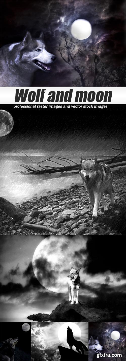 Wolf and moon