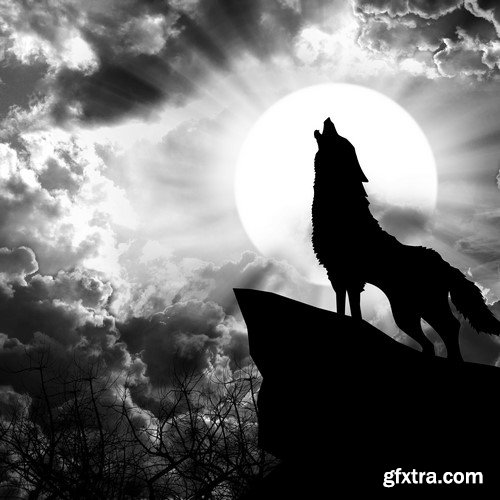 Wolf and moon