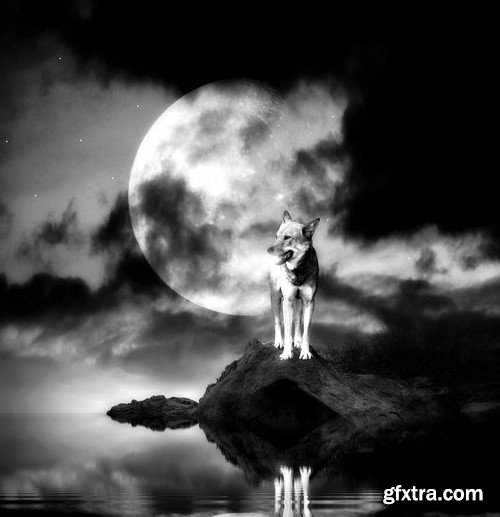 Wolf and moon