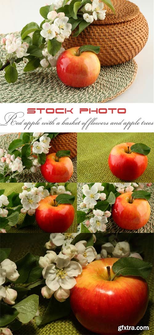Red apple with a basket of flowers and apple trees