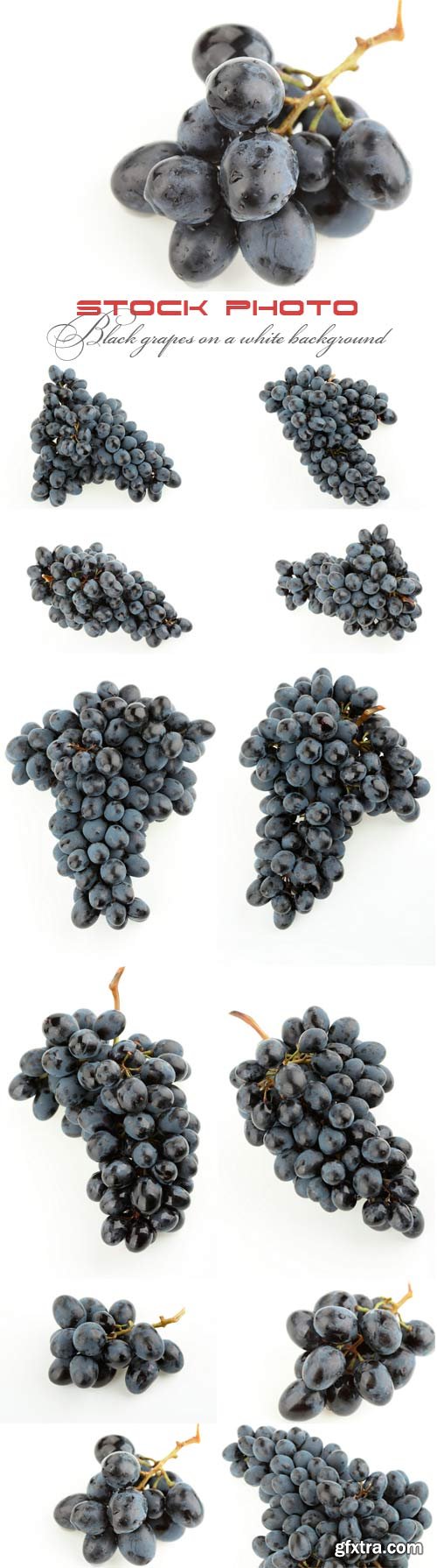 Black grapes on a white background