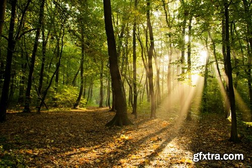 Collection of different landscape sunlight beam sunset cloud forest 25 hQ Jpeg