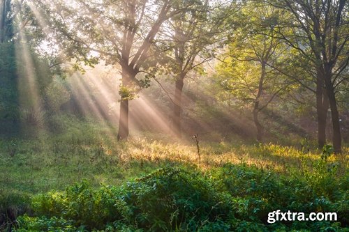 Collection of different landscape sunlight beam sunset cloud forest 25 hQ Jpeg