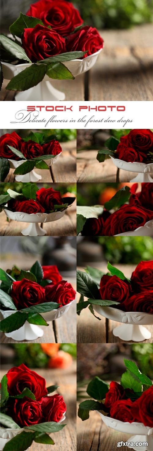 Three roses in a white vase on a wooden table