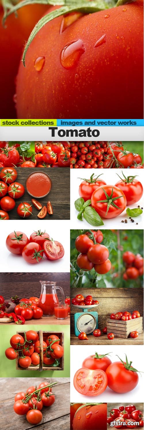 Tomato, 15 x UHQ JPEG