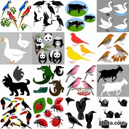 Collection of vector pictures of different animals bird flamingo elephant frog crocodile 25 EPS