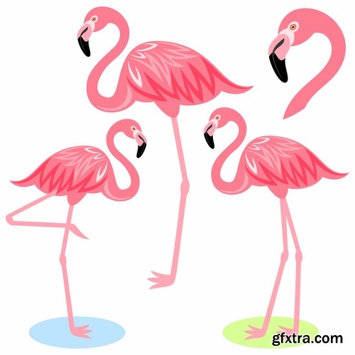 Collection of vector pictures of different animals bird flamingo elephant frog crocodile 25 EPS