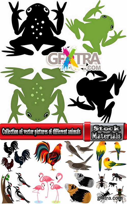 Collection of vector pictures of different animals bird flamingo elephant frog crocodile 25 EPS