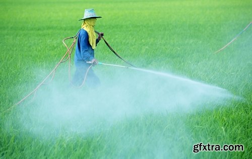 Collection of pesticides agricultural fertilizer chemical fertilizer poison fields 25 HQ Jpeg