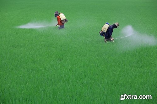 Collection of pesticides agricultural fertilizer chemical fertilizer poison fields 25 HQ Jpeg