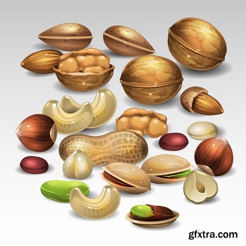 Collection of vector image walnut nut 25 EPS