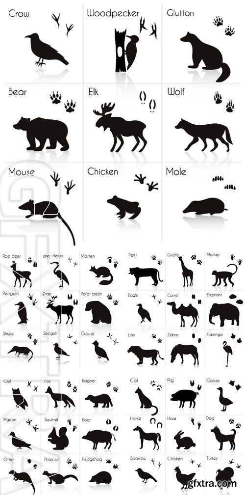 Stock Vectors - Set of Animal and Bird Trails with Name. Vector Set of Black Animals and Birds Silhouettes