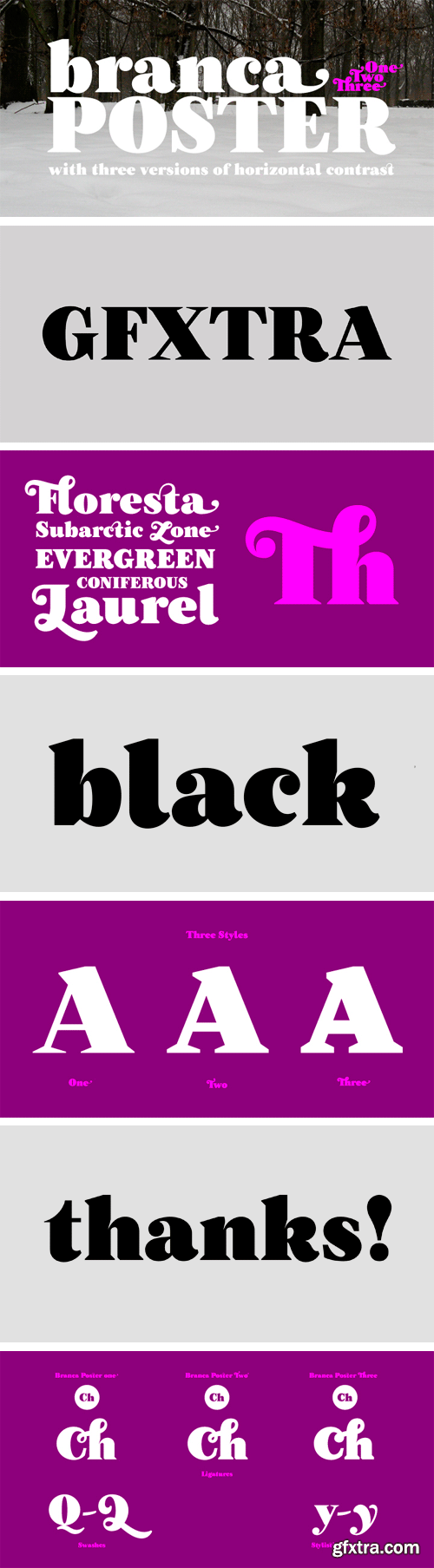 Branca Poster Font Family