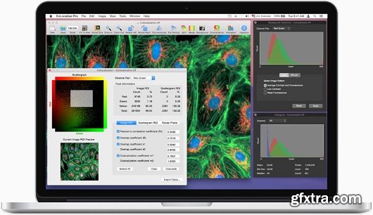 CoLocalizer Pro 3.0.2 MacOSX