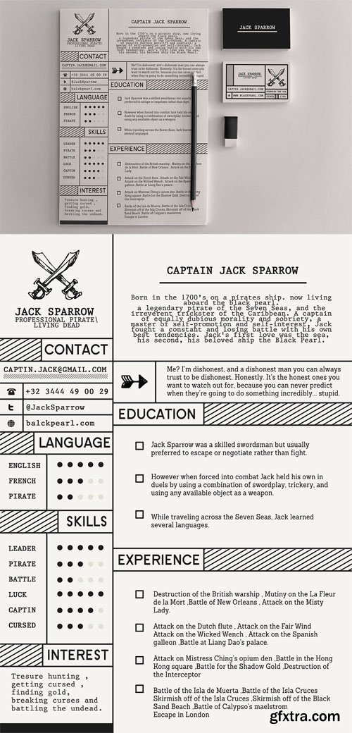 Professional Pirate Resume Template