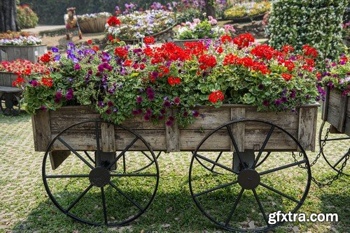 Cart With Flowers - 5x JPEGs