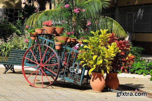 Cart With Flowers - 5x JPEGs