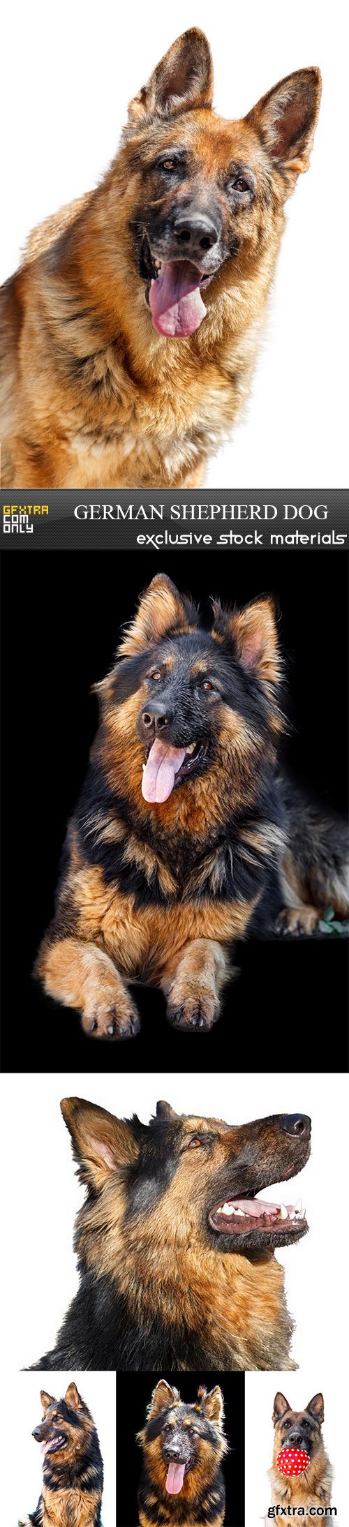 German Shepherd Dog - 6 UHQ JPEG