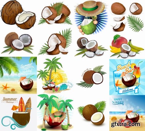 Collection of vector image coconut coconut juice pulp nut 25 EPS