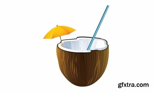 Collection of vector image coconut coconut juice pulp nut 25 EPS