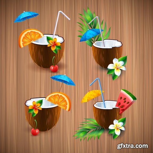 Collection of vector image coconut coconut juice pulp nut 25 EPS