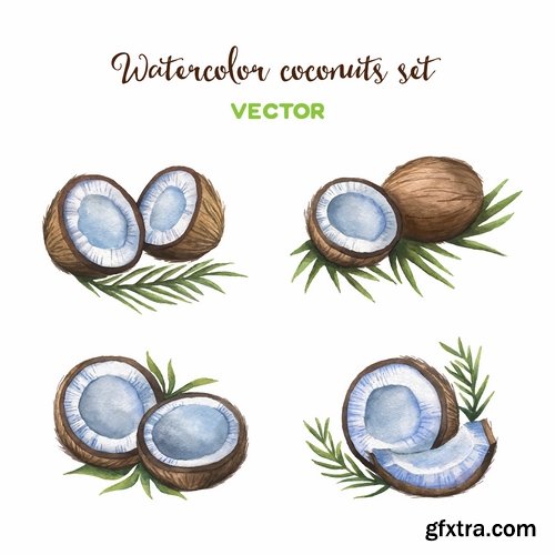 Collection of vector image coconut coconut juice pulp nut 25 EPS