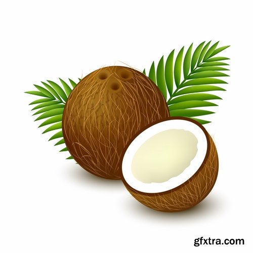 Collection of vector image coconut coconut juice pulp nut 25 EPS