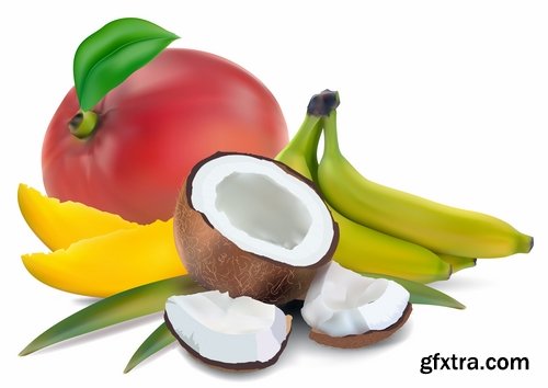 Collection of vector image coconut coconut juice pulp nut 25 EPS