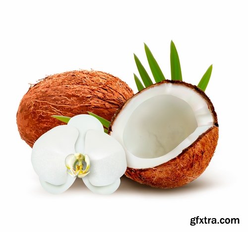 Collection of vector image coconut coconut juice pulp nut 25 EPS