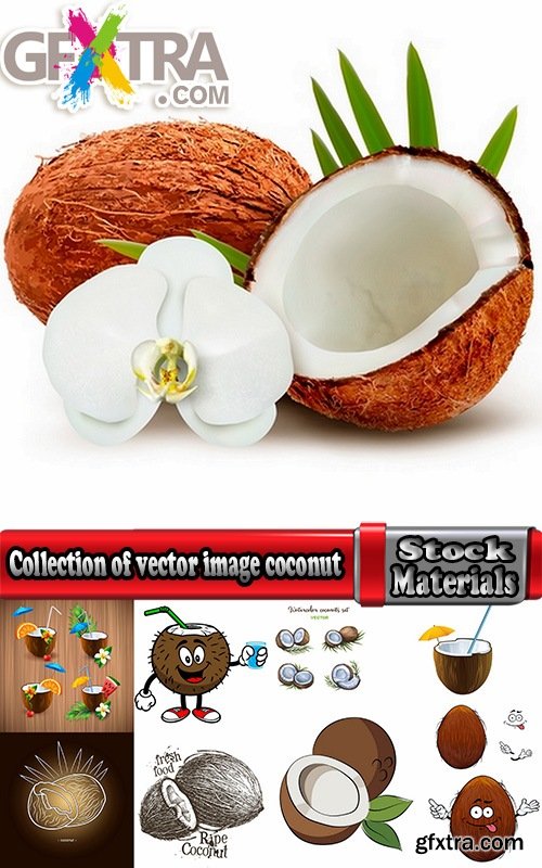 Collection of vector image coconut coconut juice pulp nut 25 EPS