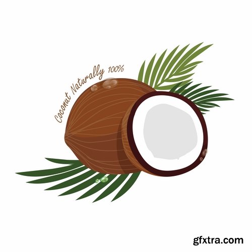 Collection of vector image coconut coconut juice pulp nut 25 EPS