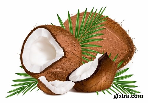 Collection of vector image coconut coconut juice pulp nut 25 EPS