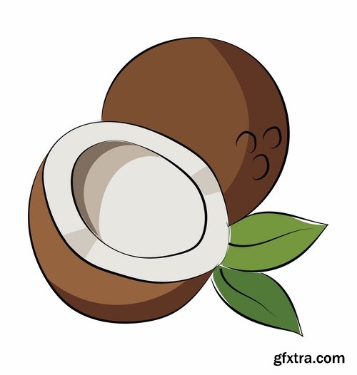 Collection of vector image coconut coconut juice pulp nut 25 EPS