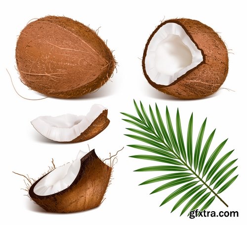 Collection of vector image coconut coconut juice pulp nut 25 EPS