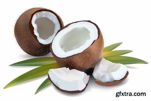 Collection of vector image coconut coconut juice pulp nut 25 EPS