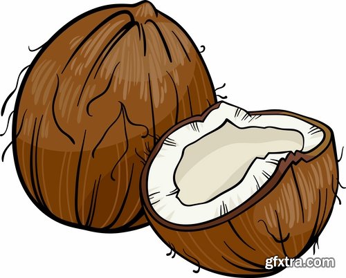 Collection of vector image coconut coconut juice pulp nut 25 EPS