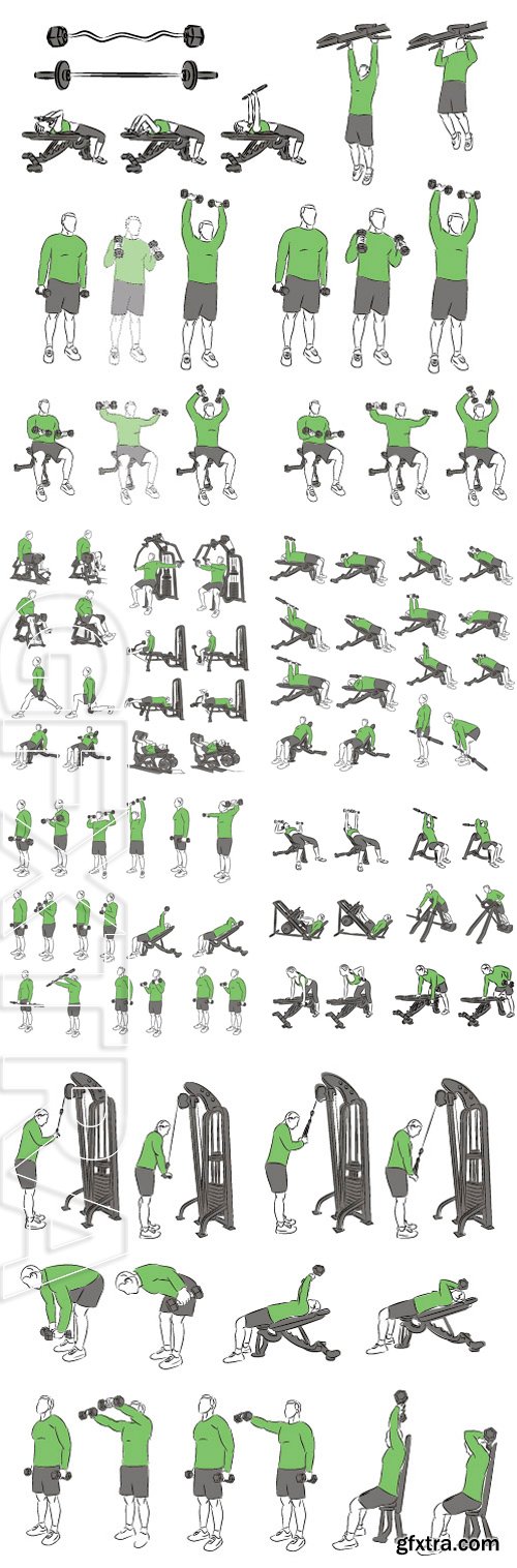 Stock Vectors - Set of systematic bodybuilding exercises