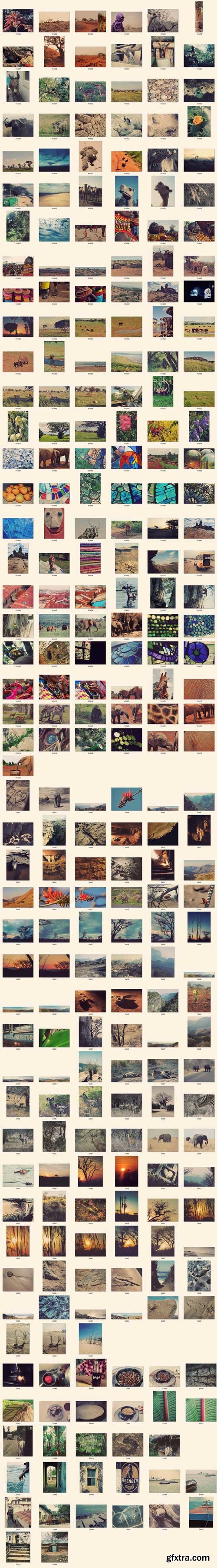 Amazing Africa – Photo Bundle