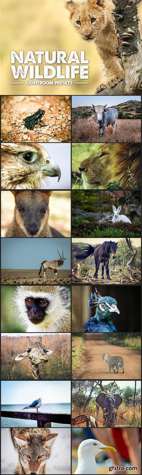 CM - Wildlife Lightroom Presets 335167