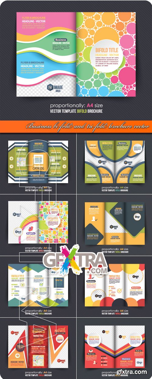 Business bi-fold and tri-fold brochure vector