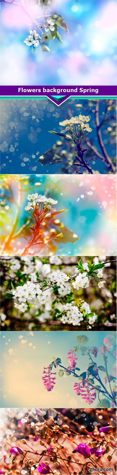 Flowers background Spring 6x JPEG