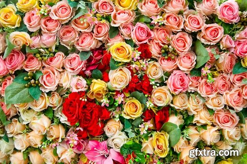 Collection the rose bouquet of flowers 25 HQ Jpeg