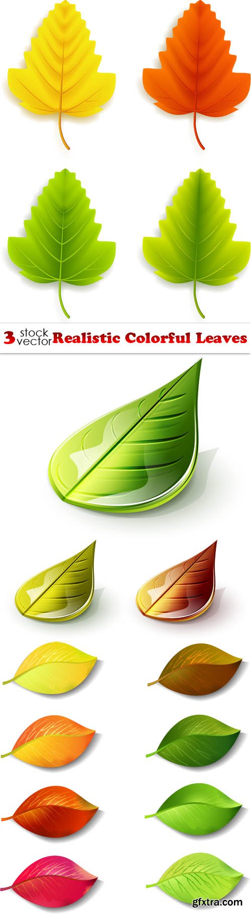 Vectors - Realistic Colorful Leaves