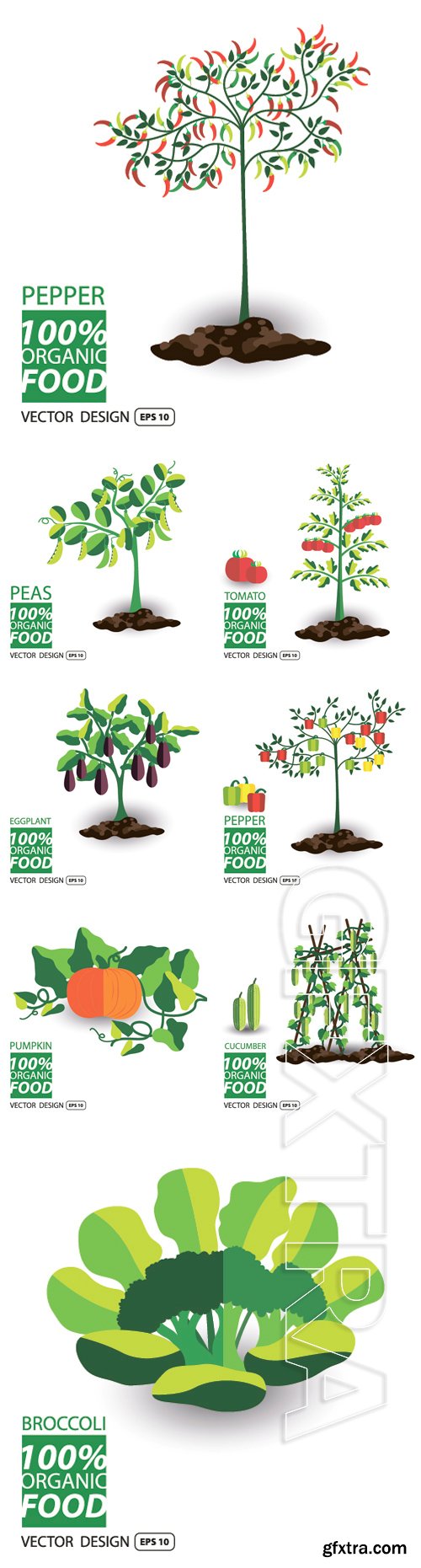 Stock Vectors - Vegetables vector illustration