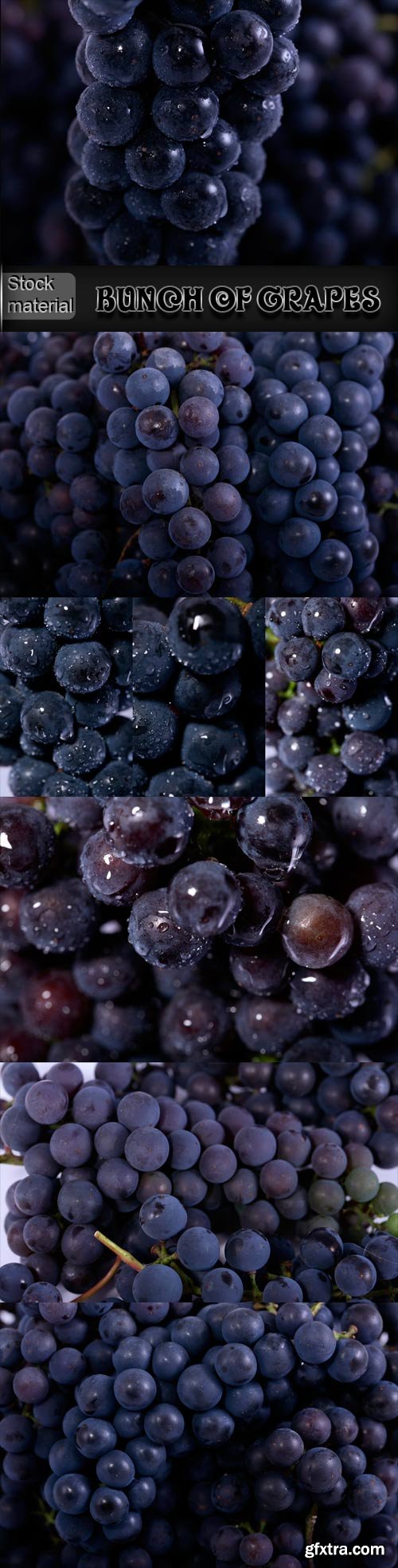 Bunch of grapes with drops of water