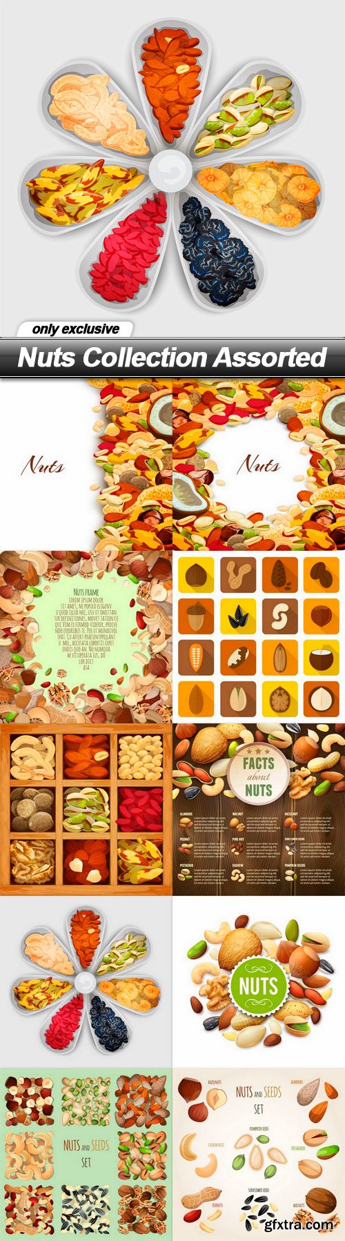 Nuts Collection Assorted - 10 EPS