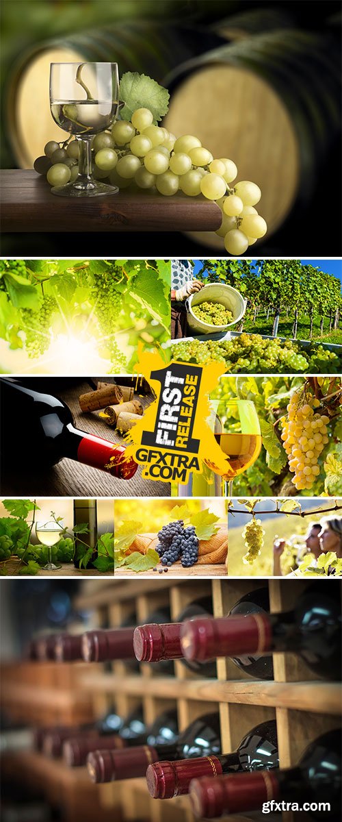 Stock Images Grapes and wine